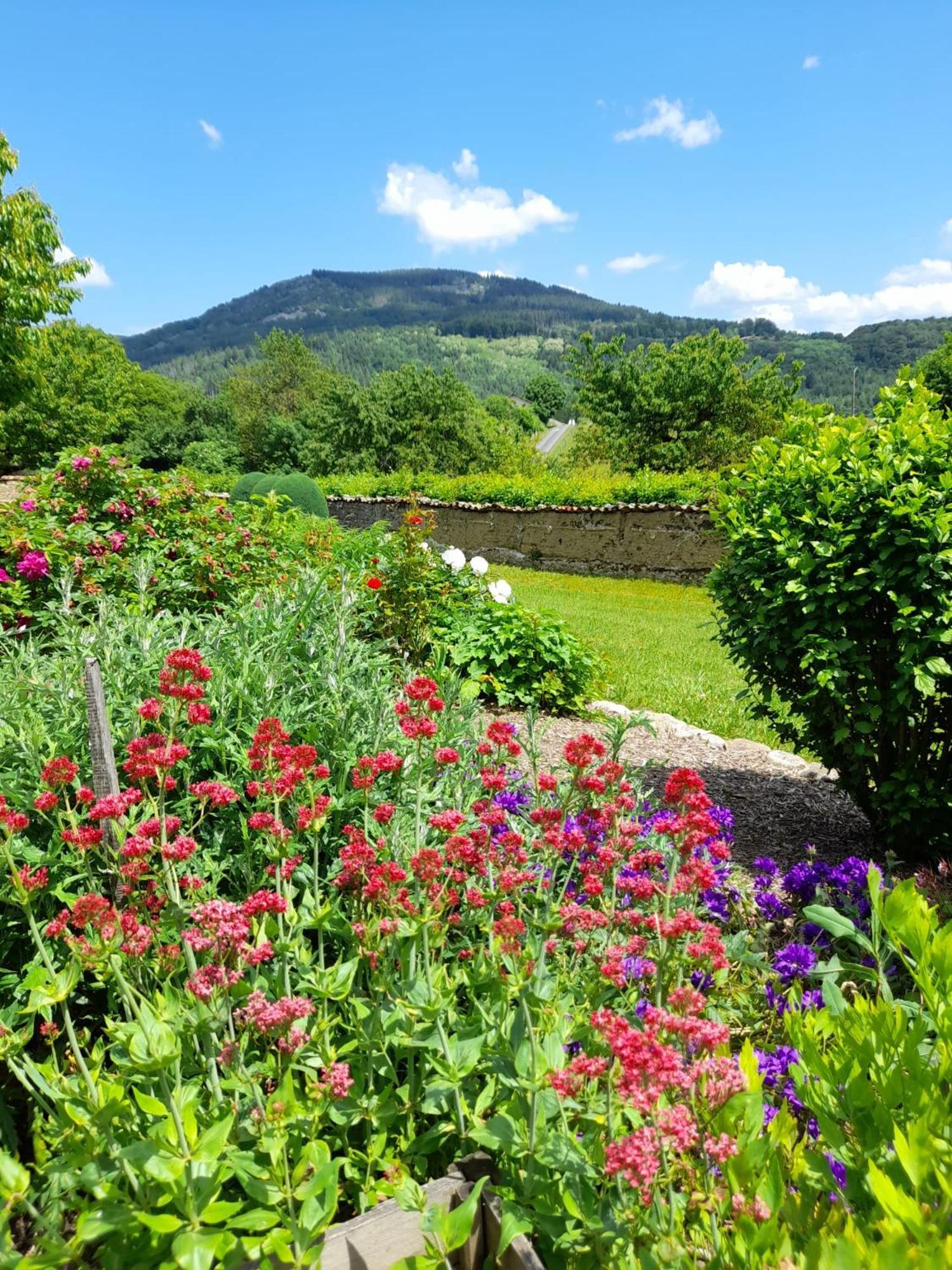 Le Jardin De Chignore Vollore-Ville エクステリア 写真